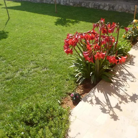 Pensión And Mara I Pavo Međugorje